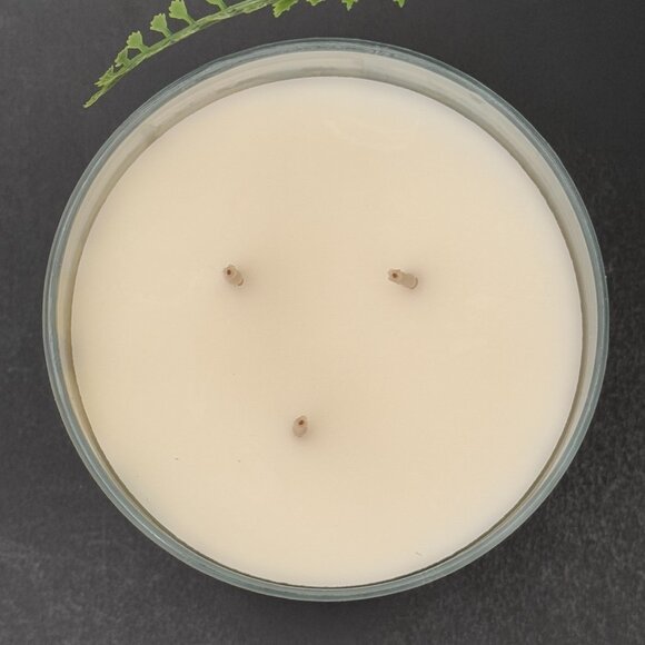 BBW Eucalyptus Rain Bath & Body Works 3 Wick Candle - Picture 7 of 10